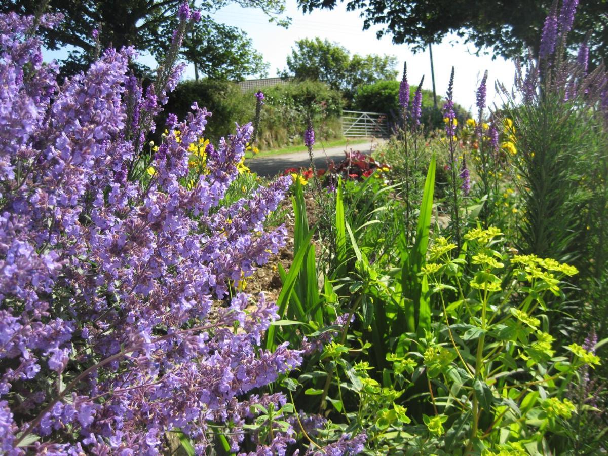 Tregaddra Farm B&B Helston Extérieur photo