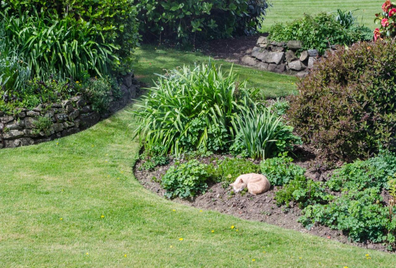 Tregaddra Farm B&B Helston Extérieur photo