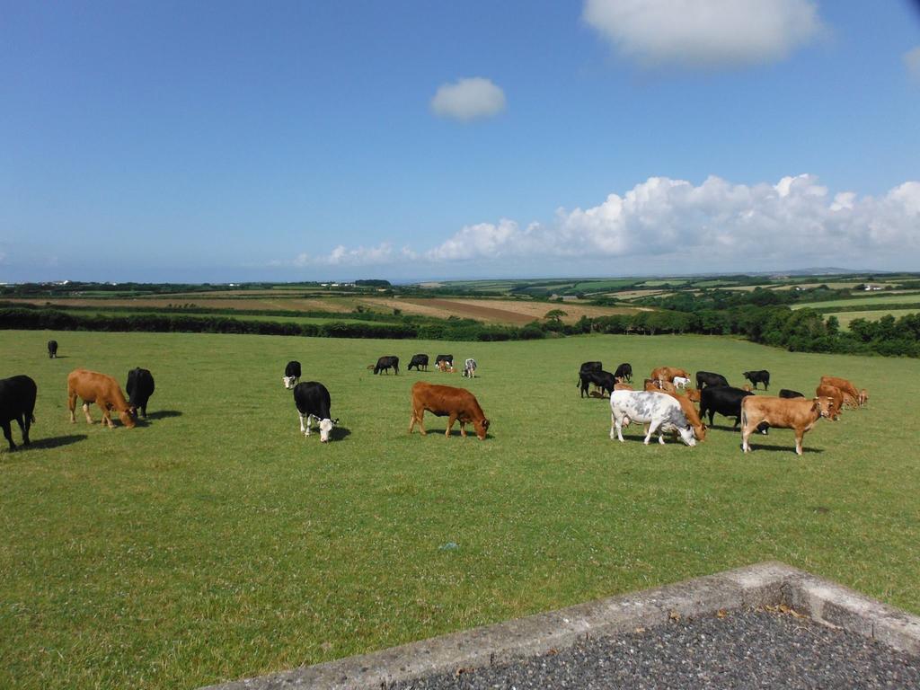 Tregaddra Farm B&B Helston Extérieur photo