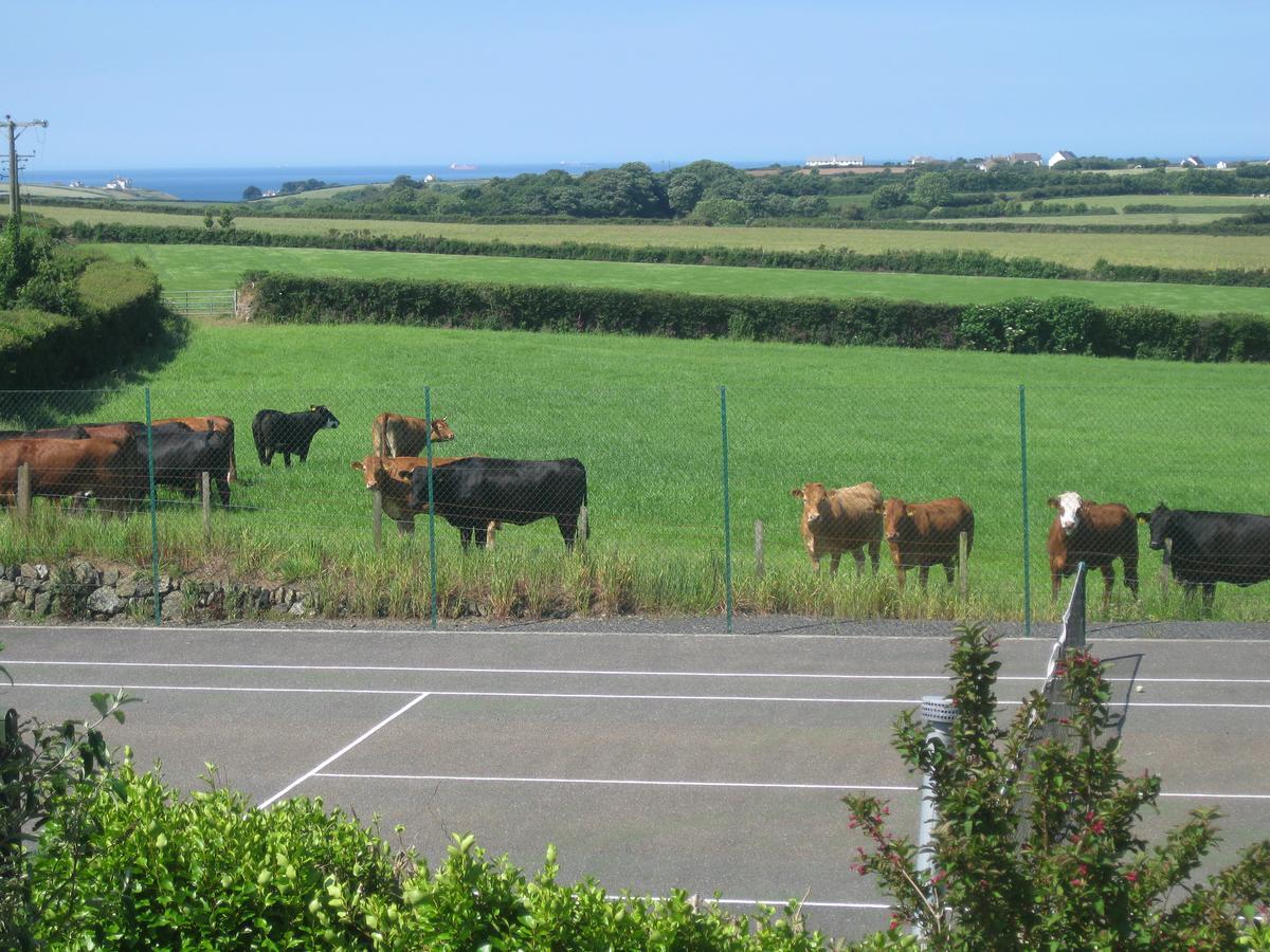 Tregaddra Farm B&B Helston Extérieur photo